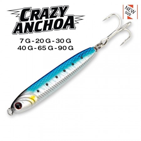 Crazy_anchoa