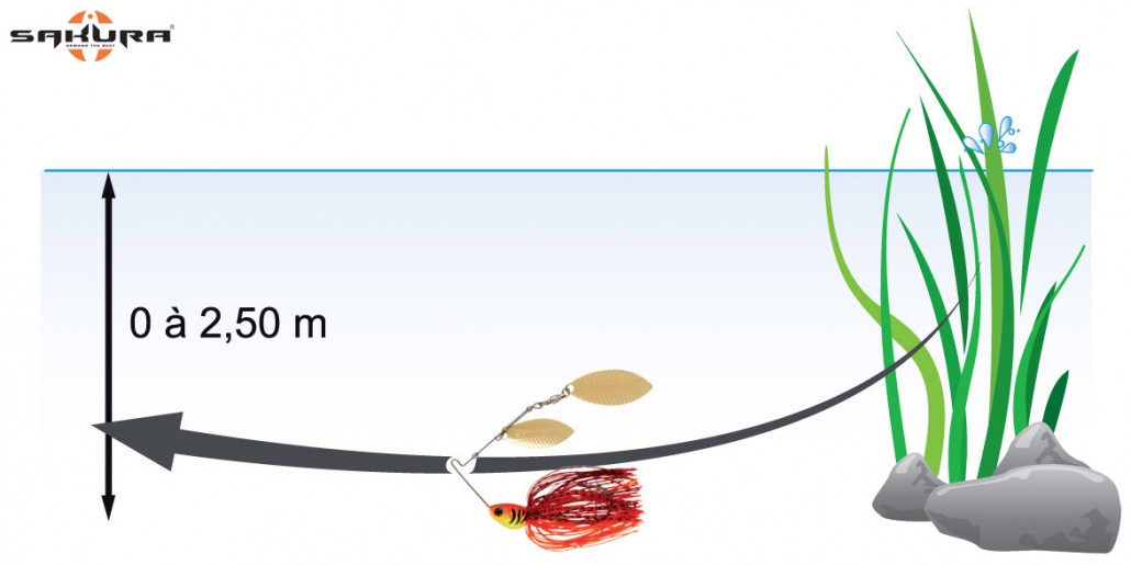 animation-spinnerbait-steady-retrieve-lineaire