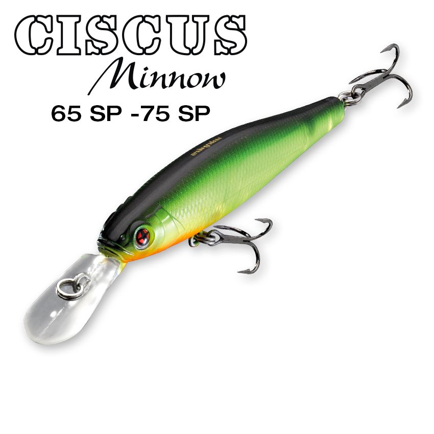 CISCUS MINNOW 65SP 75SP SAKURA Fishing