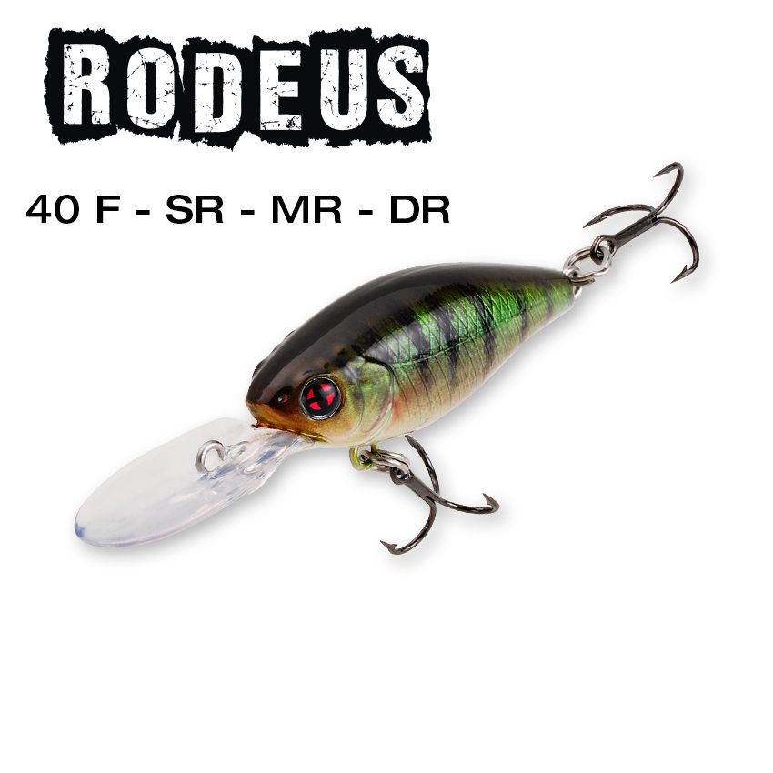 https://www.sakura-fishing.uk/wp-content/uploads/2015/08/rodeus_40f_sr_mr_dr.jpg