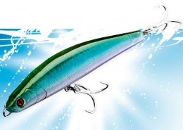 DACE MINNOW 80F 9 Vignette_Bainer_105S_125S
