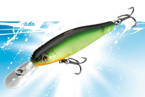 Product archive 11 Vignette_Ciscus_Minnow_65SP_75SP