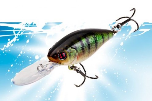 Product archive 3 Vignette_Rodeus_40F_SR_MR_DR