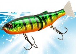 Vignette_S_Shiner_145S