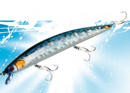 DACE MINNOW 80F 11 Vignette_Smart_Minnow_145F_165F