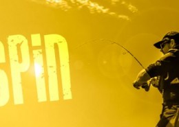 Vignette-Golden_Bay_Spin