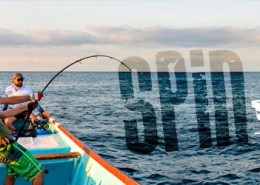 MITSIO Casting Jigging 70lb - SAKURA-Fishing