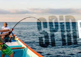 Vignette-Mitsio_Spin_Pop