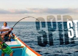 Vignette-Mitsio_Spin_Stick