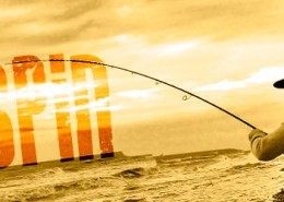 Vignette-Players_Spin