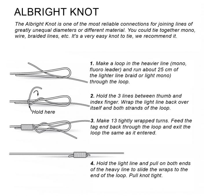 Albright-knot-min