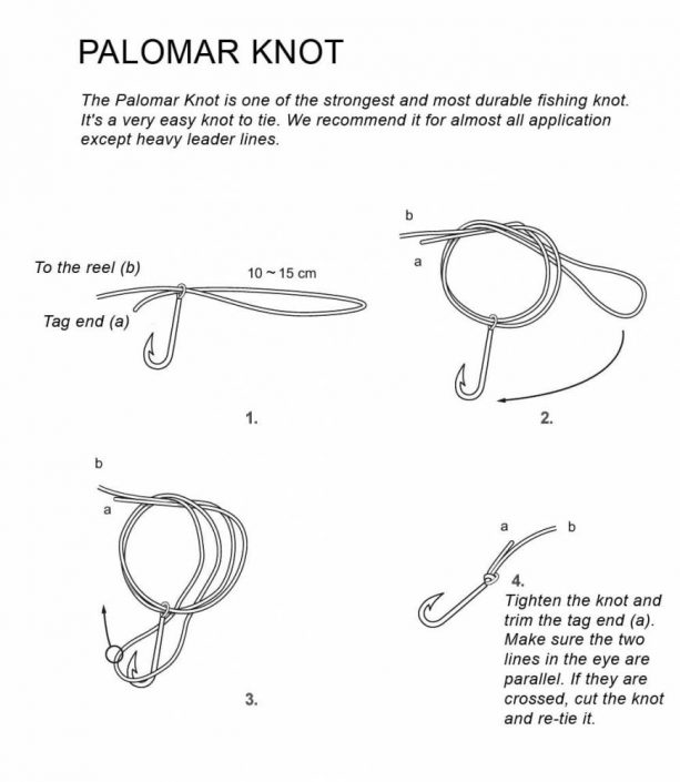 Palomar-knot-min