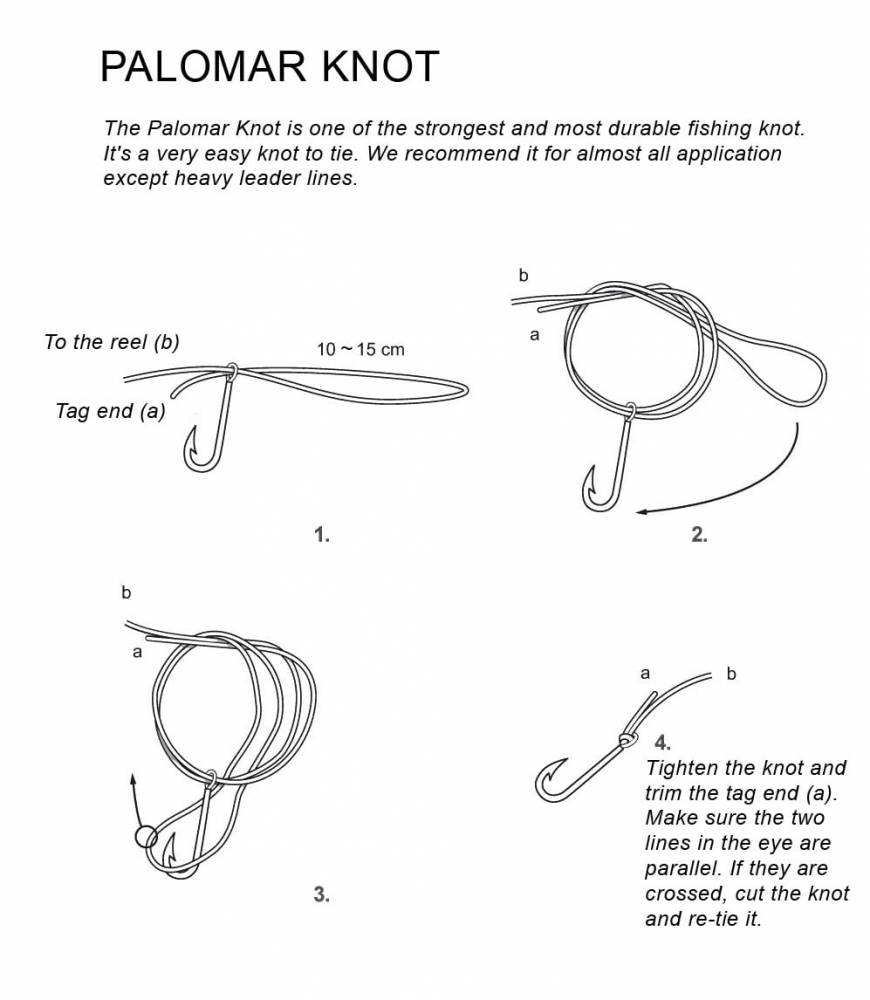 Best fishing knots - SAKURA-Fishing