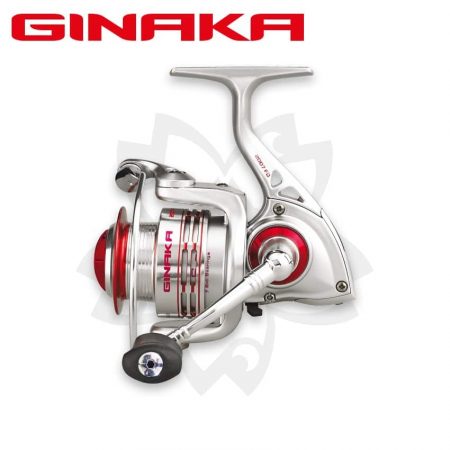 GINAKA FD - Spinning 1