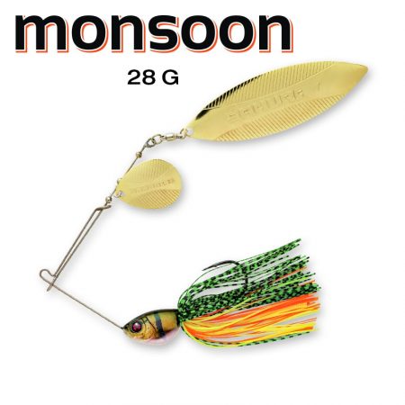 MONSOON 1