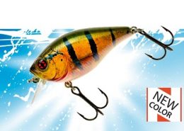 KALIK CRANK 40F 3 vignette_bomba_crank_60f_70f