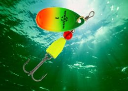 SKOON FAT 30 - 35 - 40 - 45 - 50 1 vignette_imara