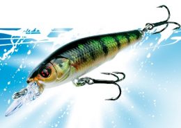 DACE MINNOW 80F 6 vignette_minchub_55sp