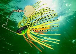 MONARC 3 vignette_monarc_micro_5g