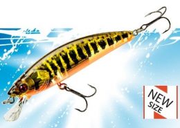 DACE MINNOW 80F 5 vignette_phoxy_minnow_hw_72_85s-1