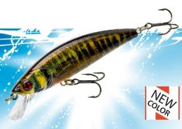 DACE MINNOW 80F 3 vignette_phoxy_minnowhw_40_50_62sp