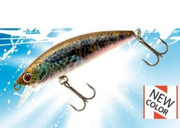 DACE MINNOW 80F 4 vignette_phoxyminnowhws_40_50_62s