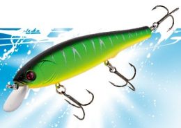 DACE MINNOW 80F 7 vignette_ruty_minnow_95_125sp