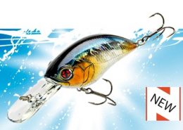KALIK CRANK 40F 5 vignette_scb_200f