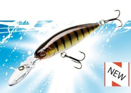 DACE MINNOW 80F 14 vignette_silf_shade_60sp