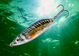 SKOON SLIM 3 vignette_skoon_fat_30_35_40_45_50