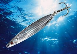 SKOON FAT 30 - 35 - 40 - 45 - 50 4 vignette_skoon_slim_80_90_100_110