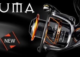 GINAKA FD - Spinning 5 Luma