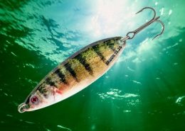 SKOON FAT 30 - 35 - 40 - 45 - 50 3 vignettes_skoon_fat_60_70_80