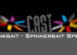 TRINIS CRANKBAIT-SPINNERBAIT SPECIAL 1 trinis_crankbait_spinnerbait_special_2