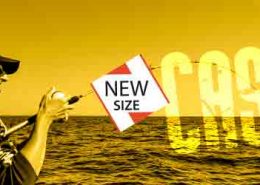 vignette_golden_bay_cast_2017